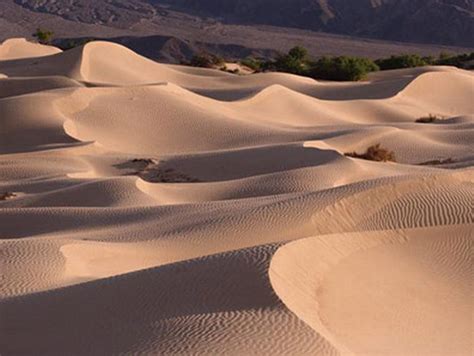 沙中土命是什麼意思 1983年生